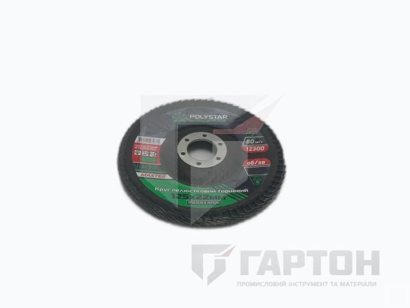 Фото Круг пелюстковий шліфувальний 125 мм Р-60 Т27 Master POLYSTAR №1