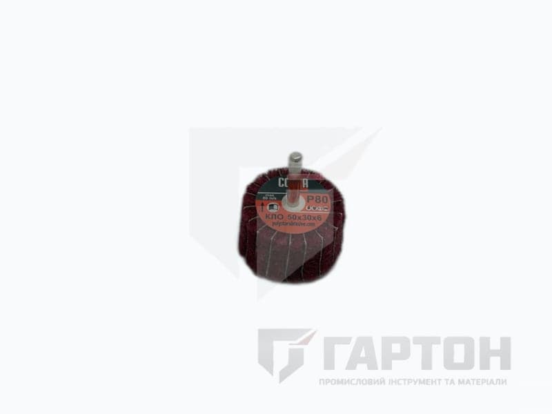Фото Круг пелюстковий Scotch-Brite КЛО 50х30х6 Р-80 №2